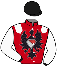 casaque portée par Lecoeuvre C. jockey du cheval de course AIGUIERE D'ARGENT, information pmu ZETURF