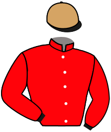 casaque portée par Gallo Mlle L. jockey du cheval de course MARLOWE, information pmu ZETURF