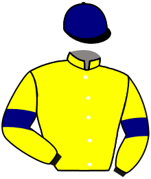 casaque portée par Piccone T. jockey du cheval de course HARTWOOD MAN, information pmu ZETURF