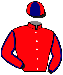 casaque portée par Lelievre E. jockey du cheval de course JALNA DU GERS, information pmu ZETURF