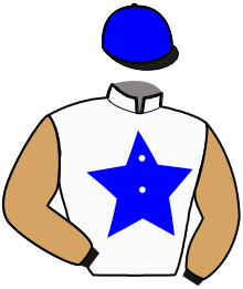 casaque portée par Testard V. jockey du cheval de course JAMSHIR, information pmu ZETURF