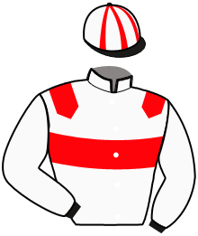casaque portée par Plassais J. jockey du cheval de course JACK DES MALBERAUX, information pmu ZETURF