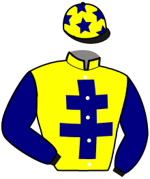 casaque portée par Ernault S. jockey du cheval de course JOY JENILOU, information pmu ZETURF