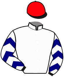 casaque portée par Abrivard L. Cl. jockey du cheval de course KLARISSE, information pmu ZETURF