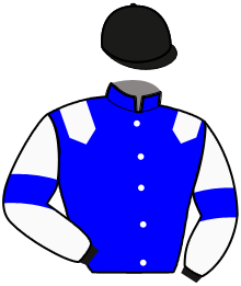 casaque portée par Bonne D. jockey du cheval de course LEXA DE LA CROIX, information pmu ZETURF
