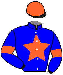 casaque portée par Hallais Mme Aux. jockey du cheval de course IN LOVE WITH PUCH, information pmu ZETURF