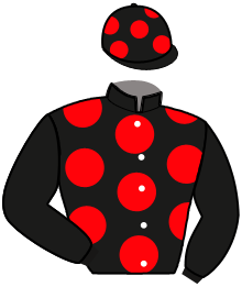 casaque portée par Abrivard A. jockey du cheval de course LAHANNA DESBOIS, information pmu ZETURF casaque portée par Abrivard A. jockey du cheval de course LAHANNA DESBOIS, information pmu ZETURF