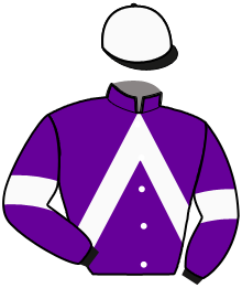 casaque portée par Raffin Th. jockey du cheval de course JOSCAN KERDREUX, information pmu ZETURF