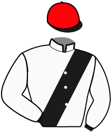 casaque portée par Blot Mme M. jockey du cheval de course INES DE MAJEAN, information pmu ZETURF