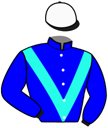 casaque portée par Colas Mlle M. jockey du cheval de course ISIDORE BONHEUR, information pmu ZETURF casaque portée par Colas Mlle M. jockey du cheval de course ISIDORE BONHEUR, information pmu ZETURF