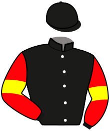 casaque portée par Verva Pie. Y. jockey du cheval de course LIANE, information pmu ZETURF casaque portée par Verva Pie. Y. jockey du cheval de course LIANE, information pmu ZETURF