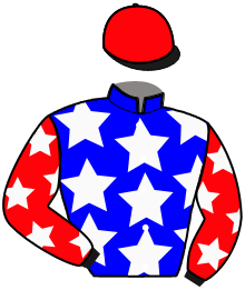 casaque portée par Saussaye V. jockey du cheval de course LADY JO, information pmu ZETURF casaque portée par Saussaye V. jockey du cheval de course LADY JO, information pmu ZETURF