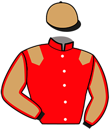 casaque portée par Verva L. jockey du cheval de course KISS ME MENCOURT, information pmu ZETURF casaque portée par Verva L. jockey du cheval de course KISS ME MENCOURT, information pmu ZETURF
