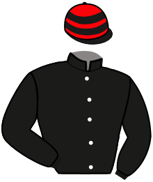 casaque portée par Beauchene Th. jockey du cheval de course HERMES HAUFOR, information pmu ZETURF casaque portée par Beauchene Th. jockey du cheval de course HERMES HAUFOR, information pmu ZETURF