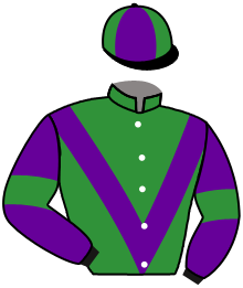 casaque portée par Dory L. P. jockey du cheval de course MALACA, information pmu ZETURF casaque portée par Dory L. P. jockey du cheval de course MALACA, information pmu ZETURF