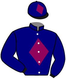 casaque portée par Vandamme Luc. jockey du cheval de course ST HENRI DETAILLON, information pmu ZETURF casaque portée par Vandamme Luc. jockey du cheval de course ST HENRI DETAILLON, information pmu ZETURF