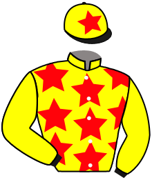 casaque portée par Duchene Med. jockey du cheval de course LIBERTY DU BREUIL, information pmu ZETURF casaque portée par Duchene Med. jockey du cheval de course LIBERTY DU BREUIL, information pmu ZETURF