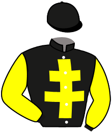 casaque portée par Grosbois Chr. jockey du cheval de course AROWN, information pmu ZETURF