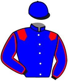 casaque portée par Grosbois Chr. jockey du cheval de course BELEM DE CHIRON, information pmu ZETURF casaque portée par Grosbois Chr. jockey du cheval de course BELEM DE CHIRON, information pmu ZETURF