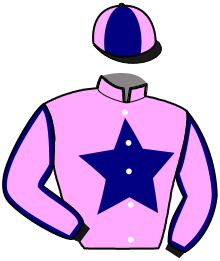 casaque portée par Raffin E. jockey du cheval de course MAMBO DE JAUDRAIS, information pmu ZETURF casaque portée par Raffin E. jockey du cheval de course MAMBO DE JAUDRAIS, information pmu ZETURF