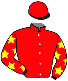 casaque portée par Pou Pou G. A. jockey du cheval de course MAESTRO BEHEM, information pmu ZETURF casaque portée par Pou Pou G. A. jockey du cheval de course MAESTRO BEHEM, information pmu ZETURF