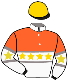 casaque portée par Nimczyk M. jockey du cheval de course JIMMY FERRO B R, information pmu ZETURF casaque portée par Nimczyk M. jockey du cheval de course JIMMY FERRO B R, information pmu ZETURF
