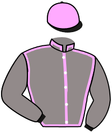 casaque portée par Gallo Mlle L. jockey du cheval de course APOPHTEGME, information pmu ZETURF