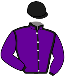 casaque portée par Chabirand V. jockey du cheval de course FABULEUX, information pmu ZETURF