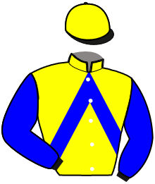 casaque portée par Pejus Lou. jockey du cheval de course HALAFOLY ROBSEN, information pmu ZETURF