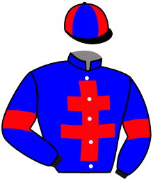 casaque portée par Re G. jockey du cheval de course ILESTBO DE HOUELLE, information pmu ZETURF casaque portée par Re G. jockey du cheval de course ILESTBO DE HOUELLE, information pmu ZETURF