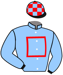 casaque portée par Vandamme Luc. jockey du cheval de course PHALOPE, information pmu ZETURF casaque portée par Vandamme Luc. jockey du cheval de course PHALOPE, information pmu ZETURF