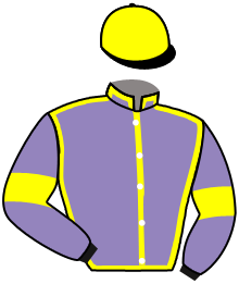 casaque portée par Rambur Jea. F. jockey du cheval de course TORNICRAFT, information pmu ZETURF casaque portée par Rambur Jea. F. jockey du cheval de course TORNICRAFT, information pmu ZETURF