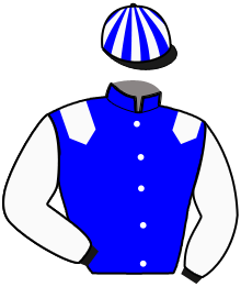 casaque portée par Denis Mme L. jockey du cheval de course ILLICO DE TILLARD, information pmu ZETURF casaque portée par Denis Mme L. jockey du cheval de course ILLICO DE TILLARD, information pmu ZETURF