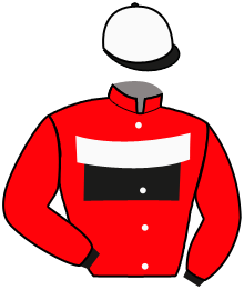 casaque portée par Rotsaert Mlle M. jockey du cheval de course IMBRUNITO MAG, information pmu ZETURF casaque portée par Rotsaert Mlle M. jockey du cheval de course IMBRUNITO MAG, information pmu ZETURF