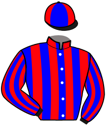 casaque portée par Hue R. jockey du cheval de course MAJOR THORIS, information pmu ZETURF casaque portée par Hue R. jockey du cheval de course MAJOR THORIS, information pmu ZETURF