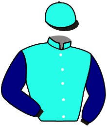 casaque portée par Berge C. jockey du cheval de course HAVOC, information pmu ZETURF casaque portée par Berge C. jockey du cheval de course HAVOC, information pmu ZETURF
