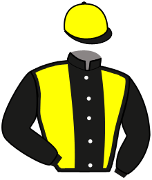 casaque portée par Demuro C. jockey du cheval de course WALDADLER, information pmu ZETURF casaque portée par Demuro C. jockey du cheval de course WALDADLER, information pmu ZETURF