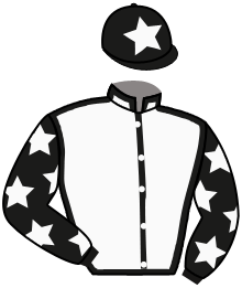 casaque portée par Briand Tho. jockey du cheval de course JULDIKO, information pmu ZETURF casaque portée par Briand Tho. jockey du cheval de course JULDIKO, information pmu ZETURF