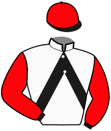 casaque portée par Le Beller B. jockey du cheval de course LEGENDE DE VAUVERT, information pmu ZETURF casaque portée par Le Beller B. jockey du cheval de course LEGENDE DE VAUVERT, information pmu ZETURF