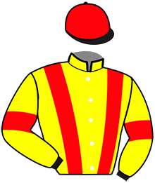 casaque portée par Vanacker B. jockey du cheval de course LORD DU GILET, information pmu ZETURF casaque portée par Vanacker B. jockey du cheval de course LORD DU GILET, information pmu ZETURF