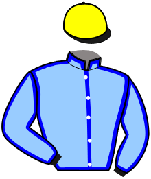 casaque portée par Laisis D. jockey du cheval de course JATILUWIH, information pmu ZETURF