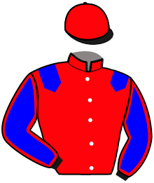casaque portée par Laigron Ax. jockey du cheval de course JOCONDE DE CONDE, information pmu ZETURF