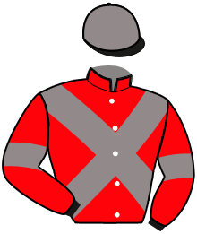 casaque portée par Lalande L. jockey du cheval de course IMAGINE OLFA, information pmu ZETURF
