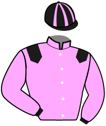 casaque portée par Lacombe Y. jockey du cheval de course JERSEY BLEUE, information pmu ZETURF