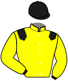 casaque portée par Bekaert D. jockey du cheval de course KOALA BLUE, information pmu ZETURF casaque portée par Bekaert D. jockey du cheval de course KOALA BLUE, information pmu ZETURF