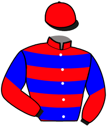 casaque portée par Le Beller T. jockey du cheval de course LOLLIPOP MIJACK, information pmu ZETURF