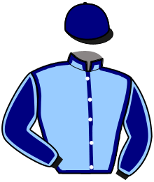 casaque portée par Lebrec T. jockey du cheval de course INES FLIGNY, information pmu ZETURF