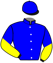 casaque portée par Hardy B. jockey du cheval de course ILLICO FLIGNY, information pmu ZETURF