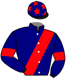 casaque portée par Mendiboure Mlle M. jockey du cheval de course IRENO DES PLAINES, information pmu ZETURF