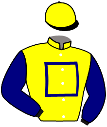 casaque portée par Bachelot T. jockey du cheval de course LEJENDARIO, information pmu ZETURF
